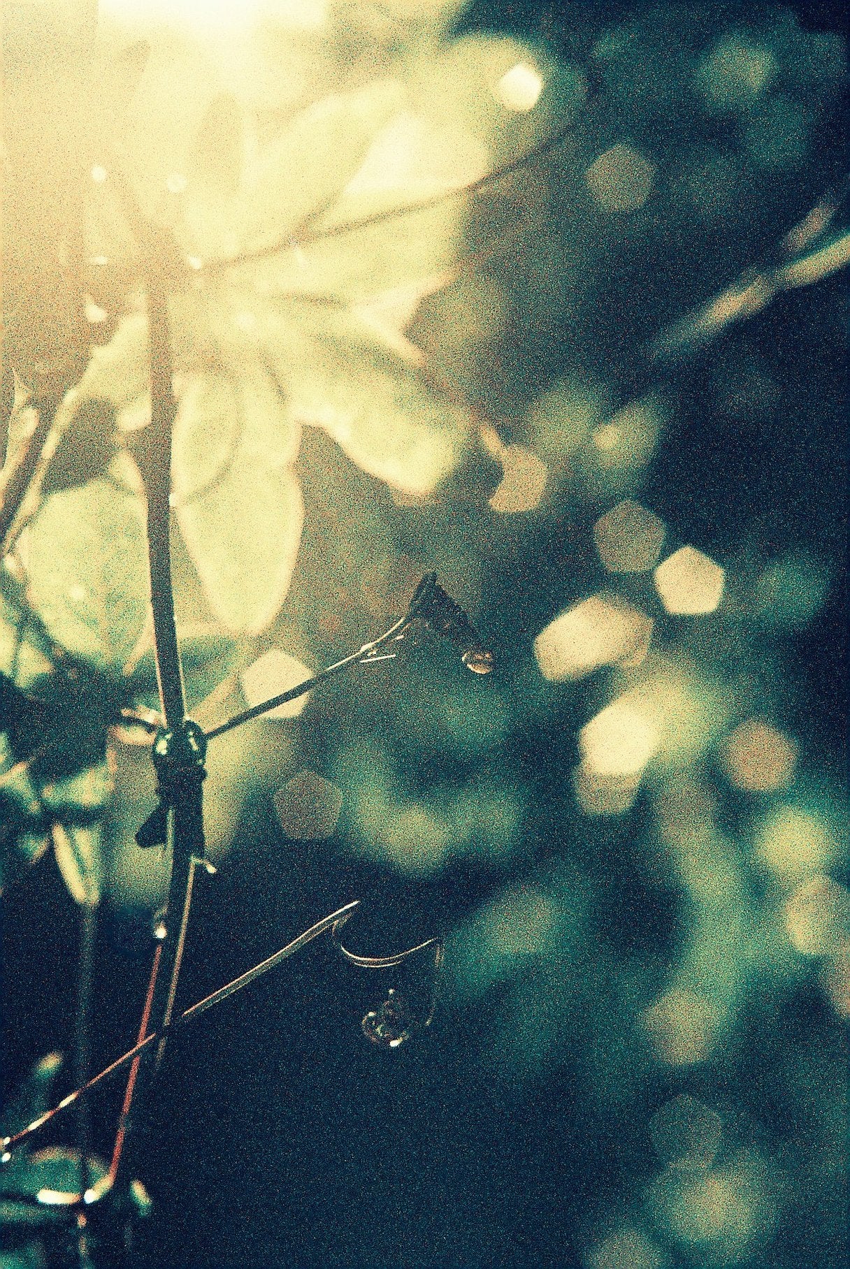 Re-spooled FPP RetroChrome 320 | Limited Edition !