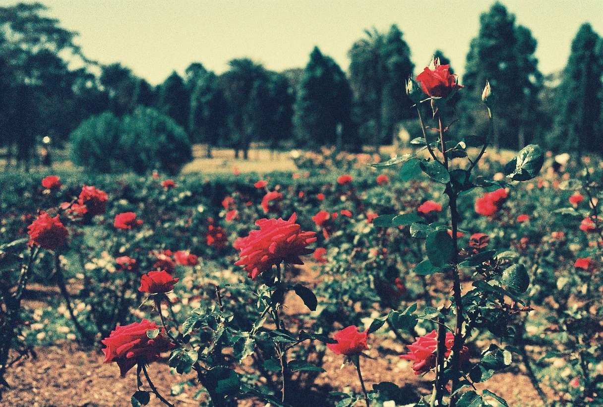 Re-spooled FPP RetroChrome 320 | Limited Edition !