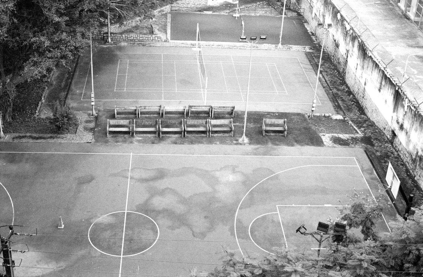 WASHI Z - 400 ISO - 135/24