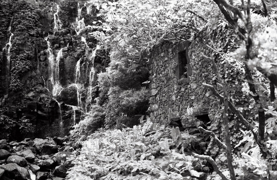 WASHI Z - 400 ISO - 135/24